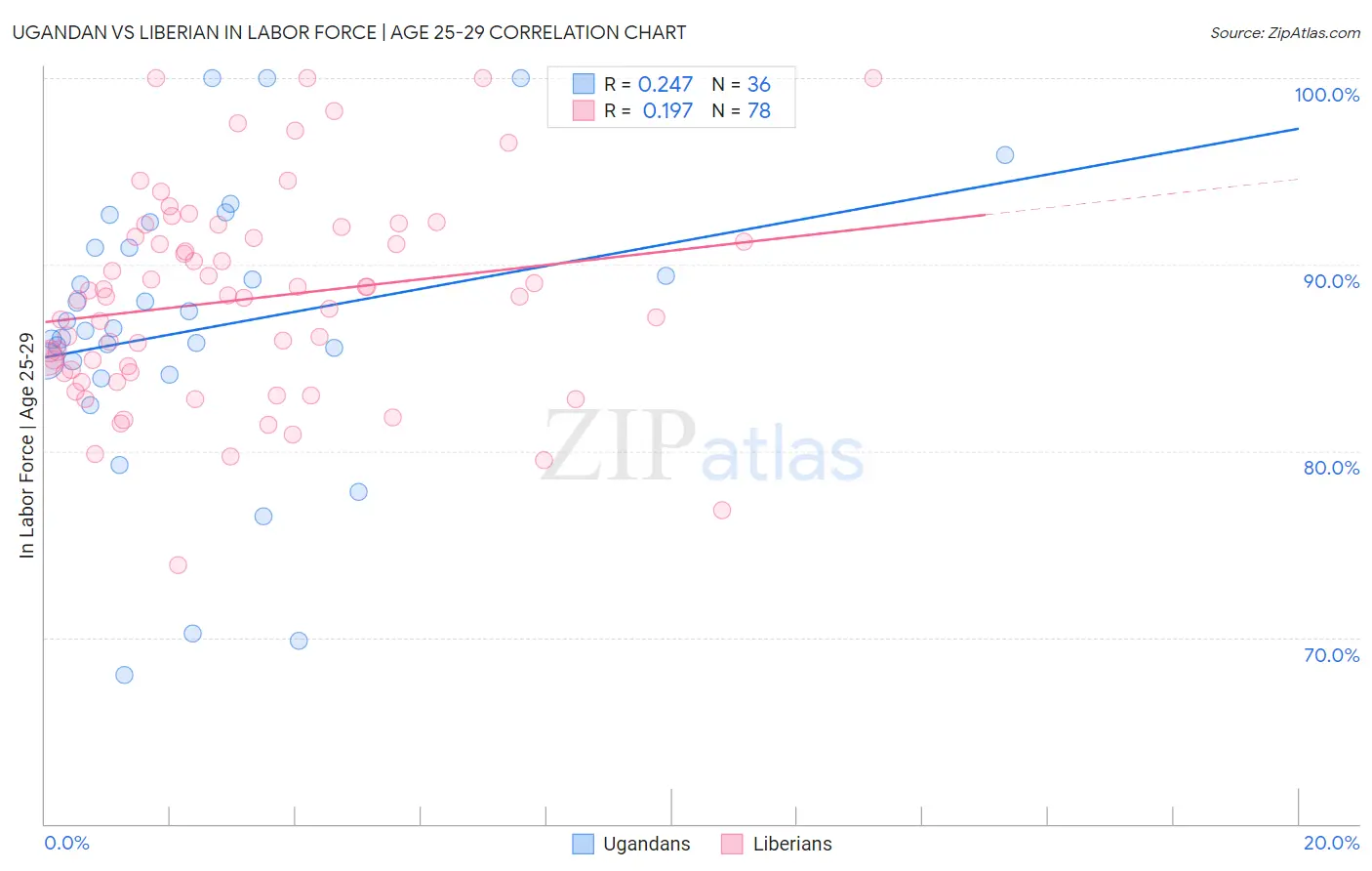 Ugandan vs Liberian In Labor Force | Age 25-29