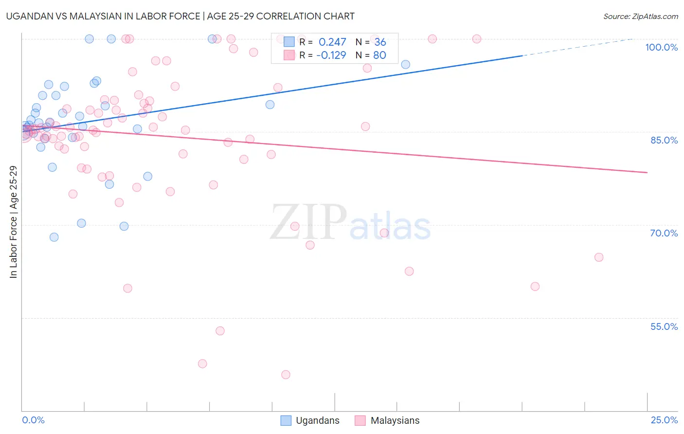 Ugandan vs Malaysian In Labor Force | Age 25-29