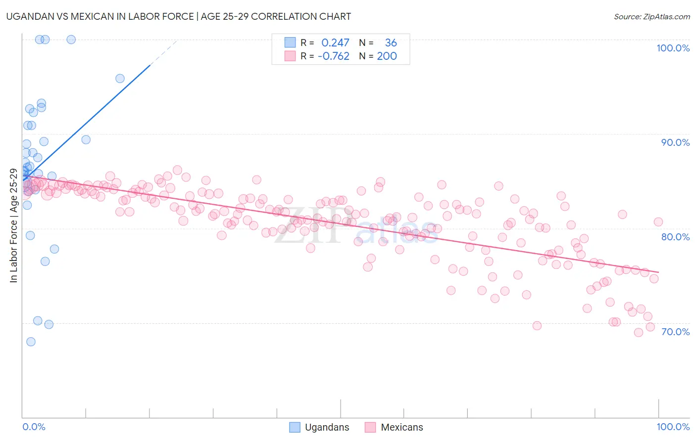 Ugandan vs Mexican In Labor Force | Age 25-29