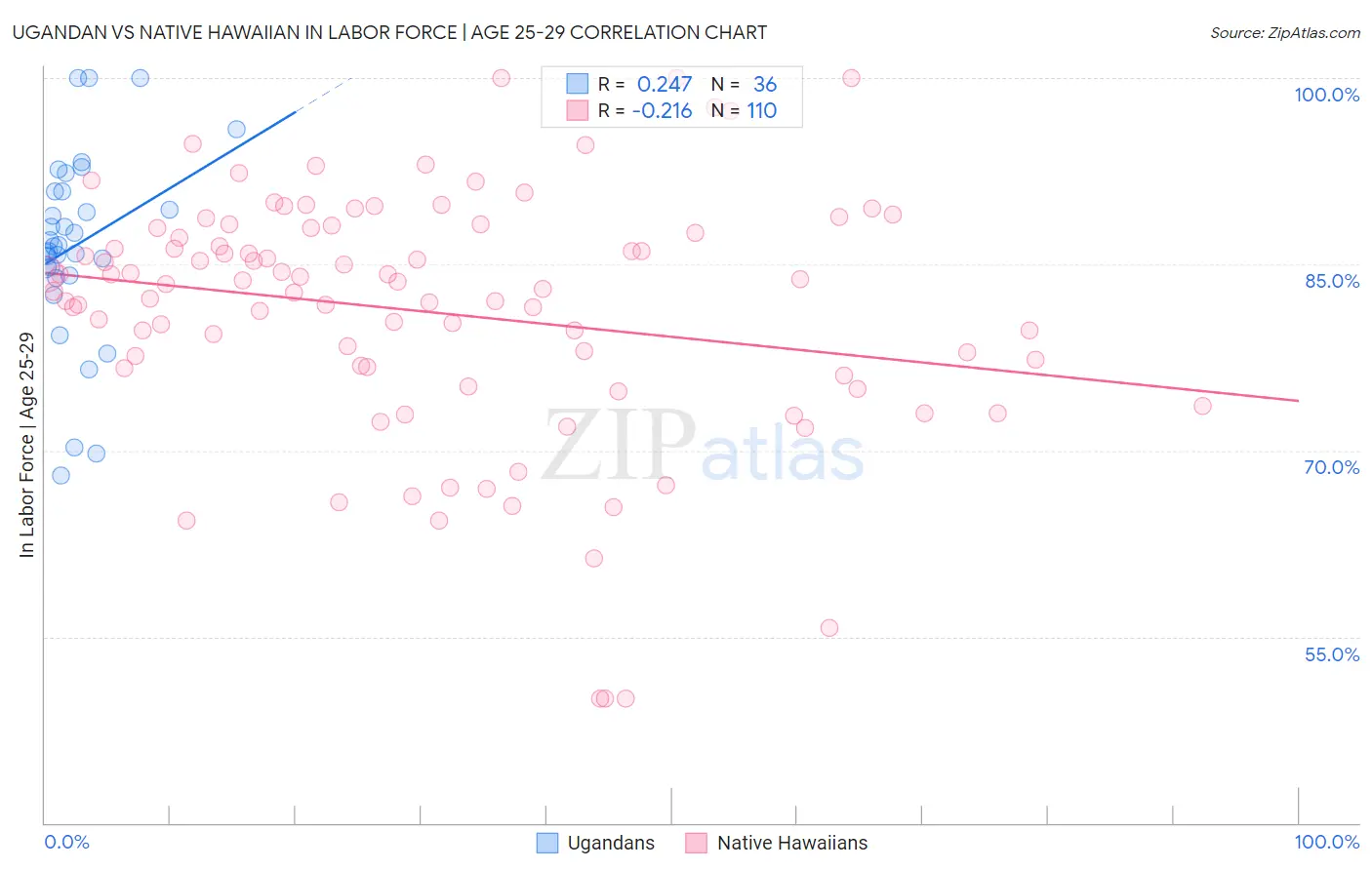 Ugandan vs Native Hawaiian In Labor Force | Age 25-29