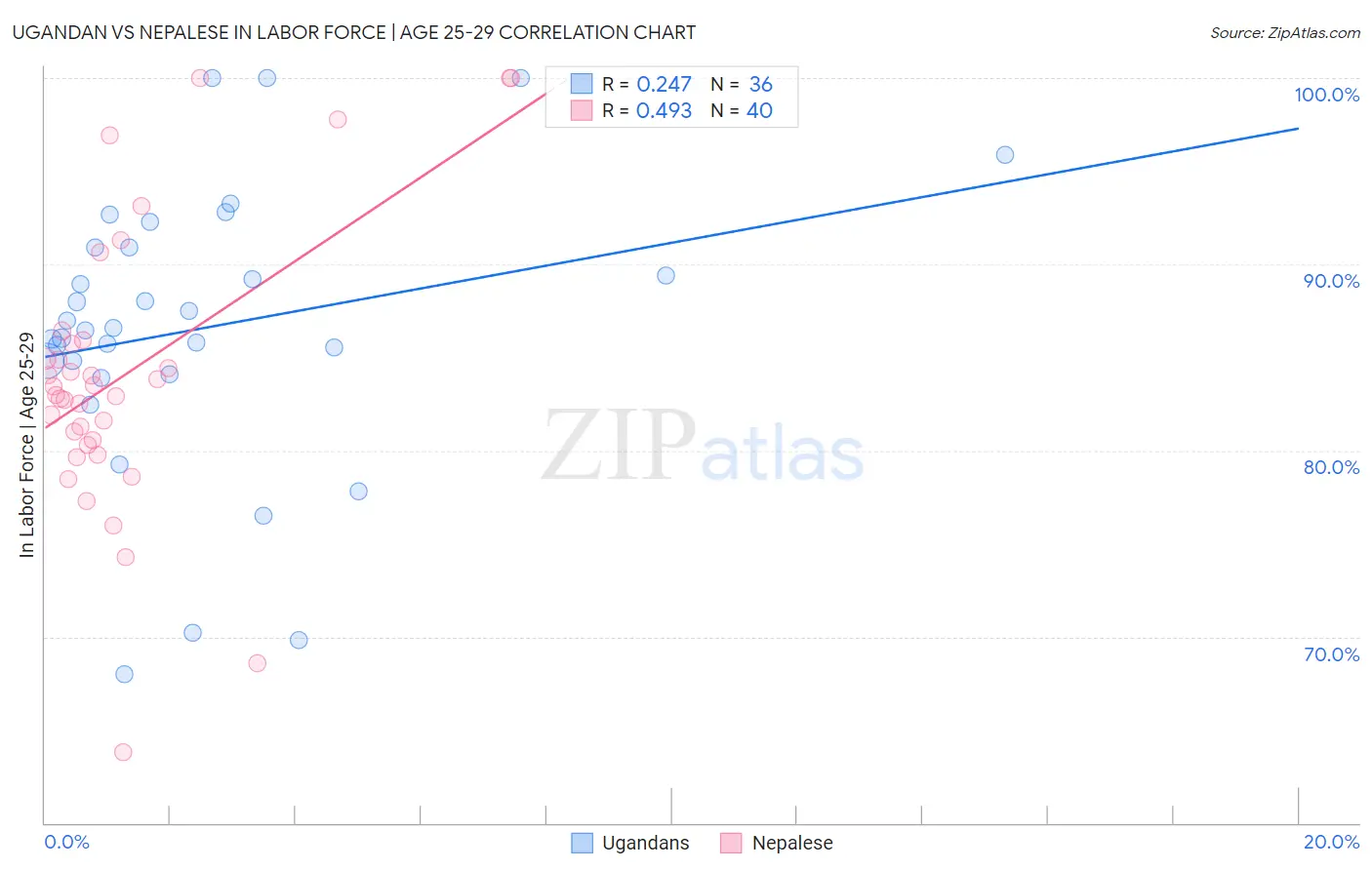 Ugandan vs Nepalese In Labor Force | Age 25-29