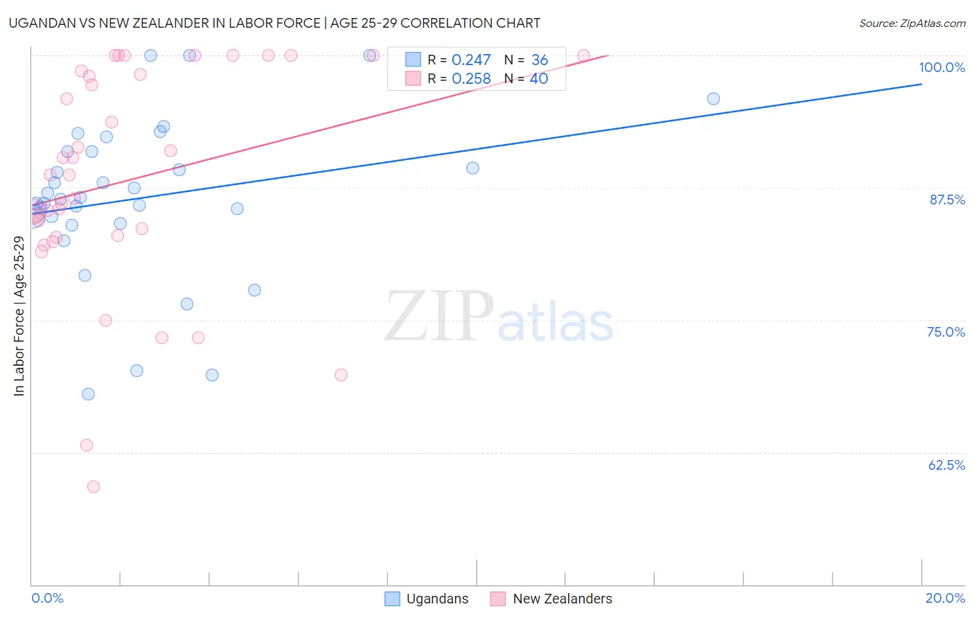 Ugandan vs New Zealander In Labor Force | Age 25-29