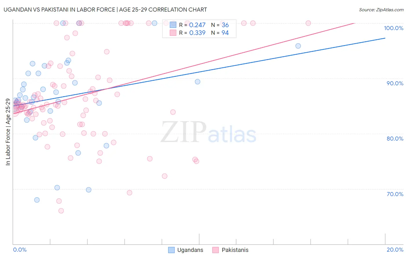 Ugandan vs Pakistani In Labor Force | Age 25-29