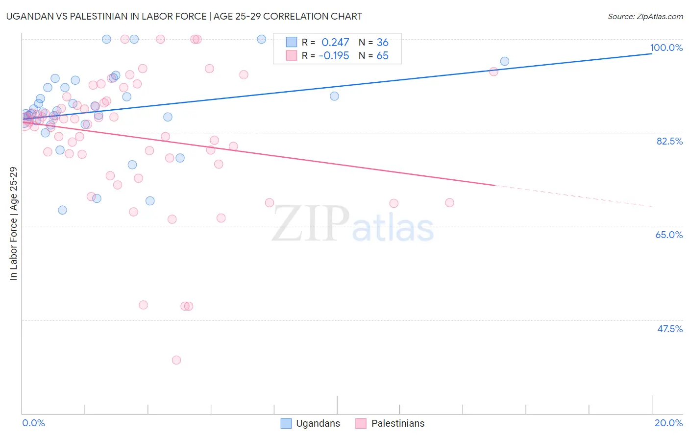 Ugandan vs Palestinian In Labor Force | Age 25-29