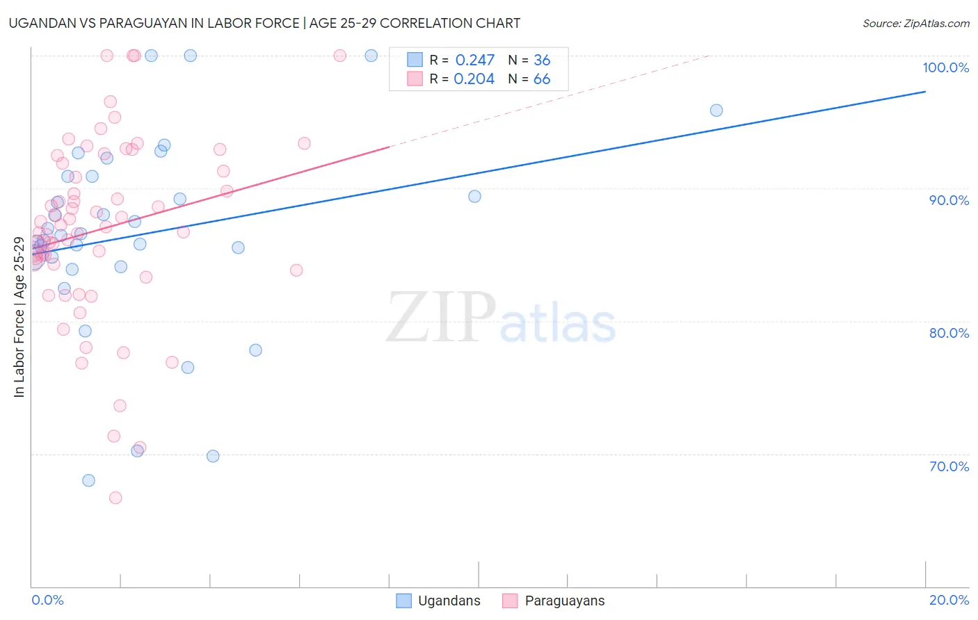 Ugandan vs Paraguayan In Labor Force | Age 25-29