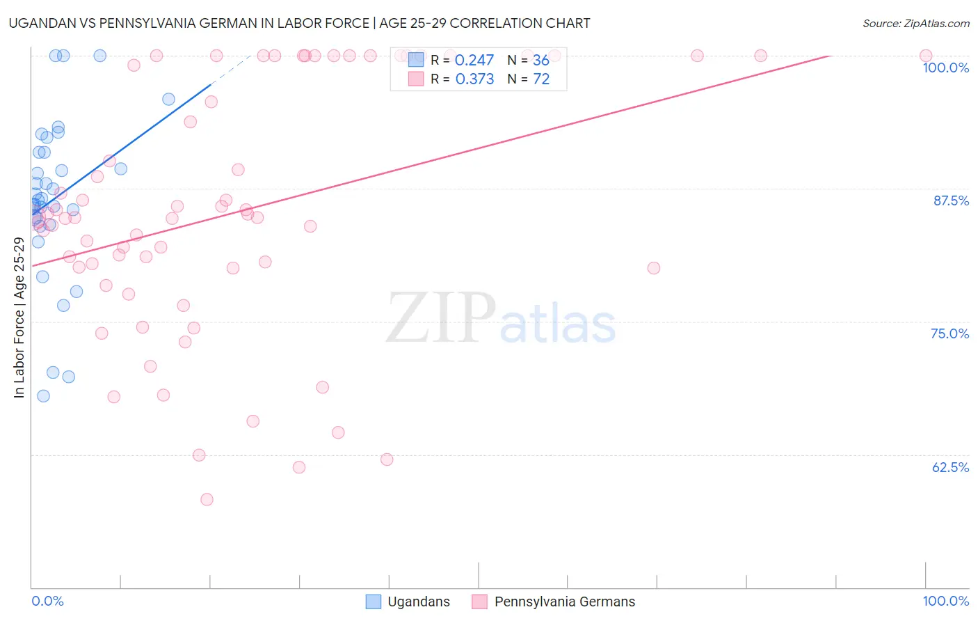 Ugandan vs Pennsylvania German In Labor Force | Age 25-29