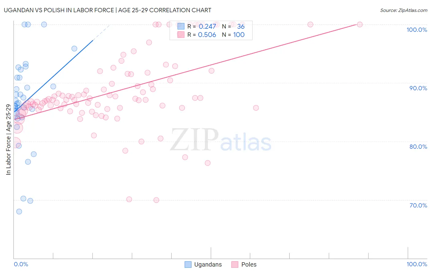 Ugandan vs Polish In Labor Force | Age 25-29