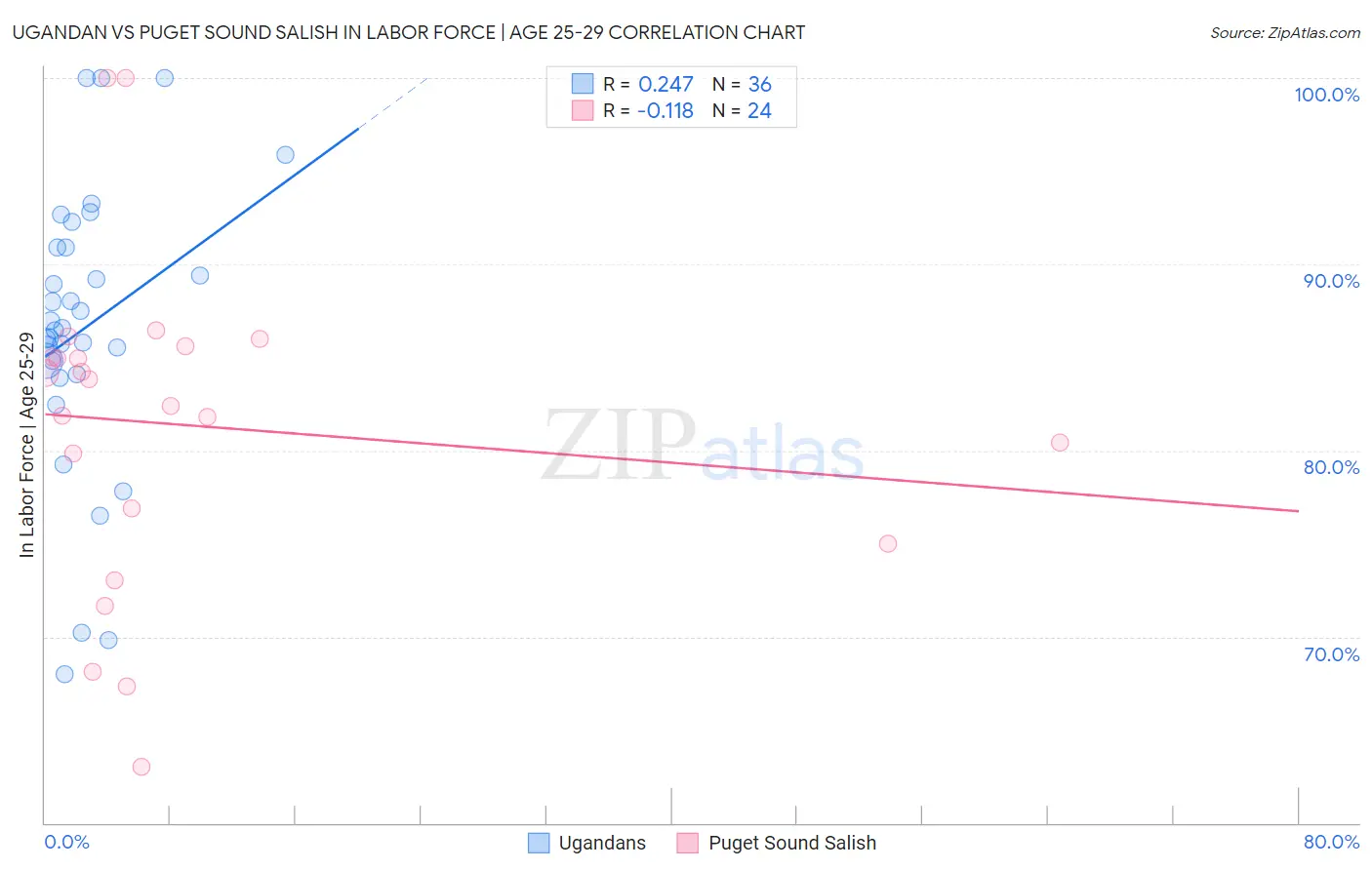 Ugandan vs Puget Sound Salish In Labor Force | Age 25-29
