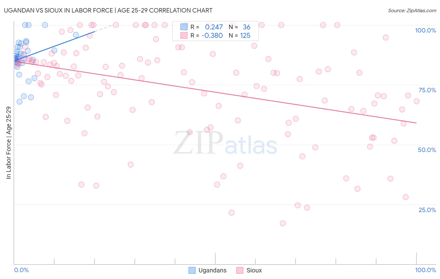 Ugandan vs Sioux In Labor Force | Age 25-29