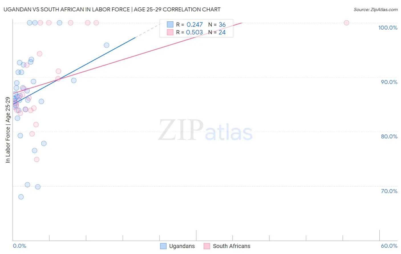 Ugandan vs South African In Labor Force | Age 25-29