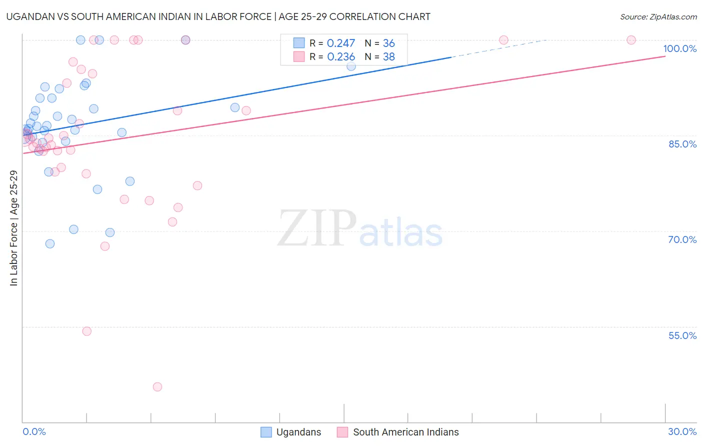 Ugandan vs South American Indian In Labor Force | Age 25-29
