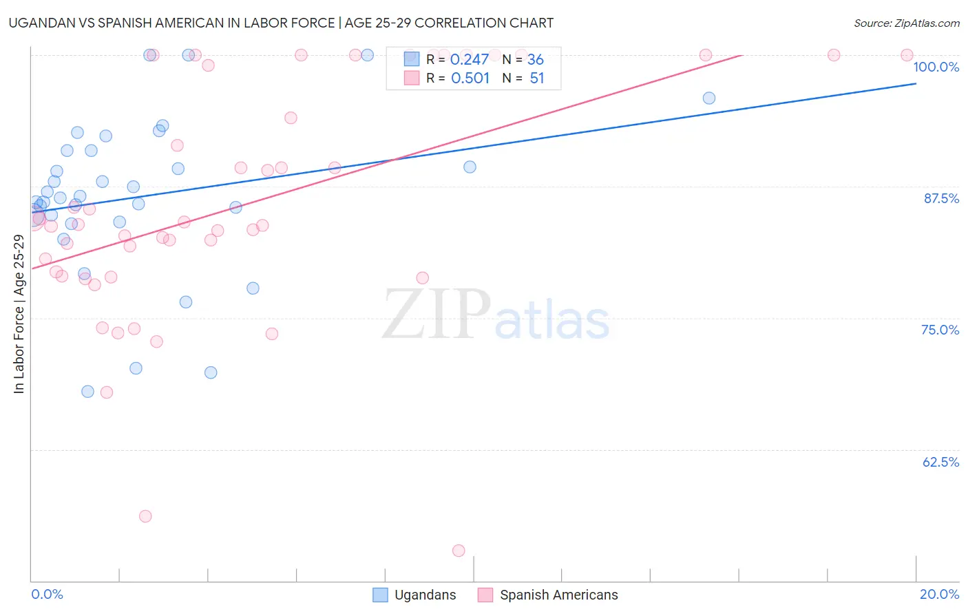 Ugandan vs Spanish American In Labor Force | Age 25-29