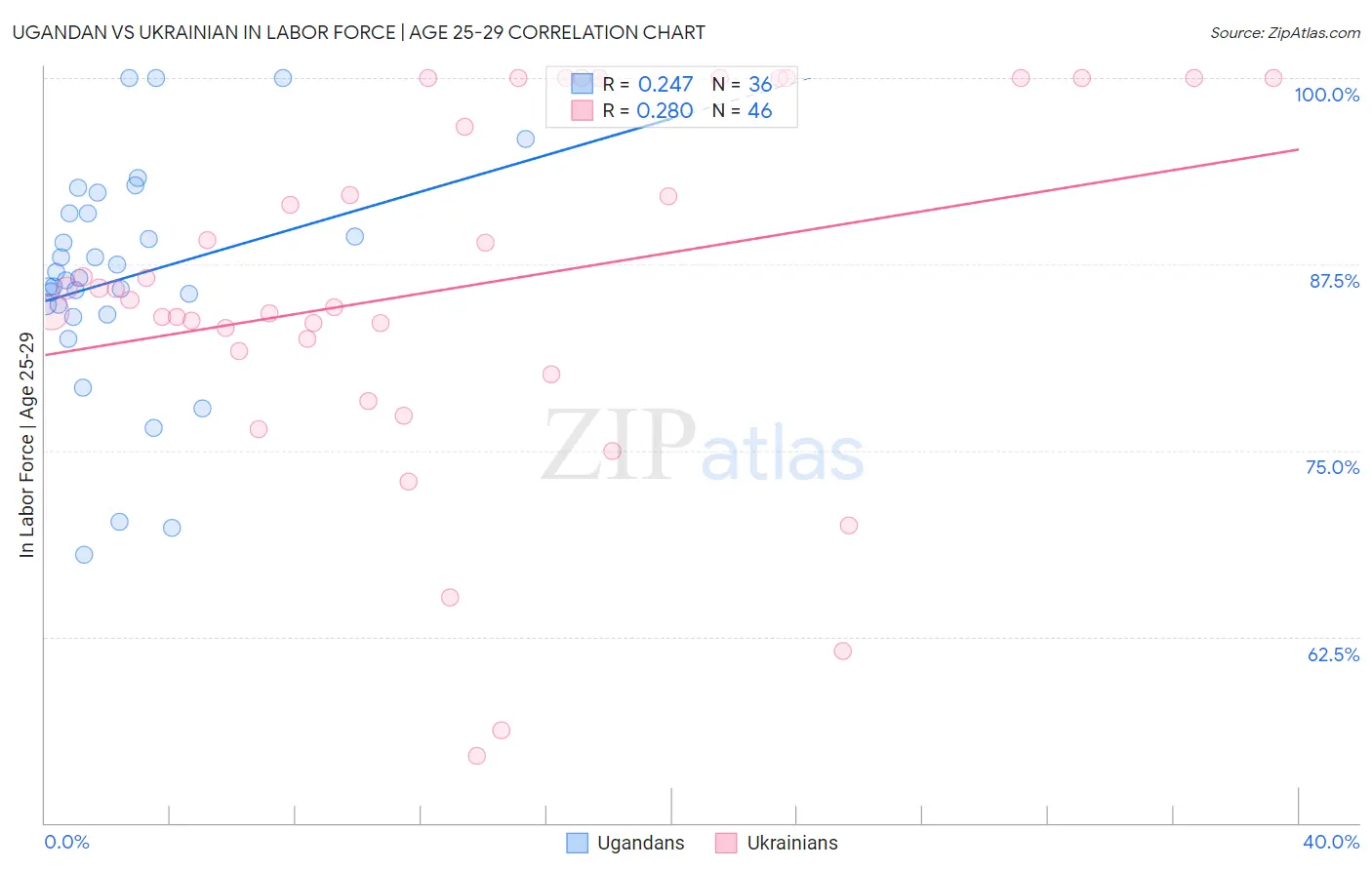 Ugandan vs Ukrainian In Labor Force | Age 25-29