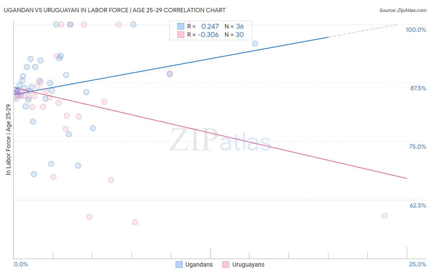Ugandan vs Uruguayan In Labor Force | Age 25-29
