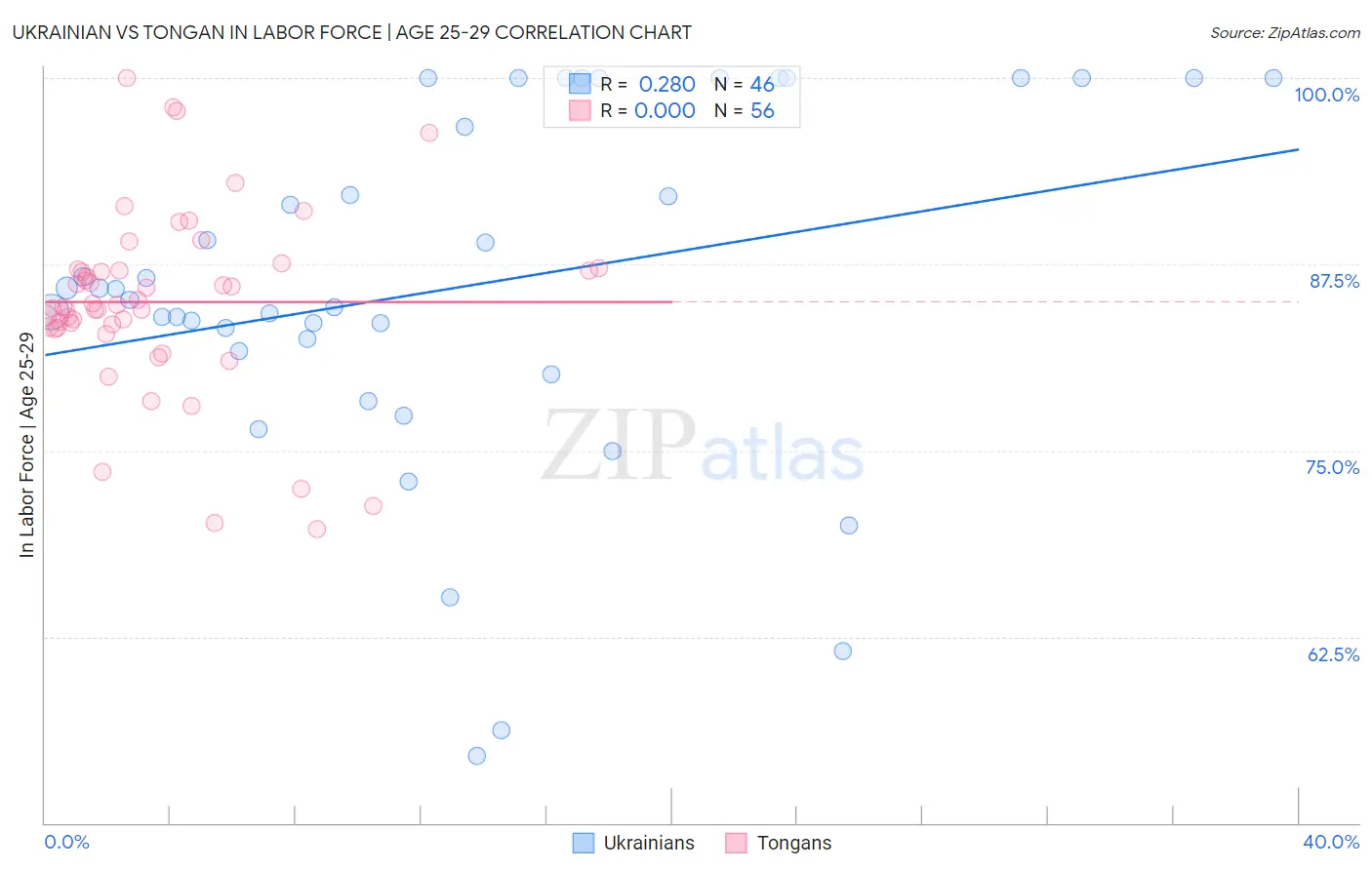 Ukrainian vs Tongan In Labor Force | Age 25-29