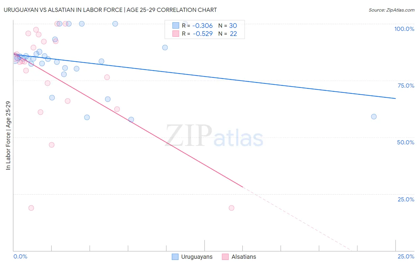 Uruguayan vs Alsatian In Labor Force | Age 25-29