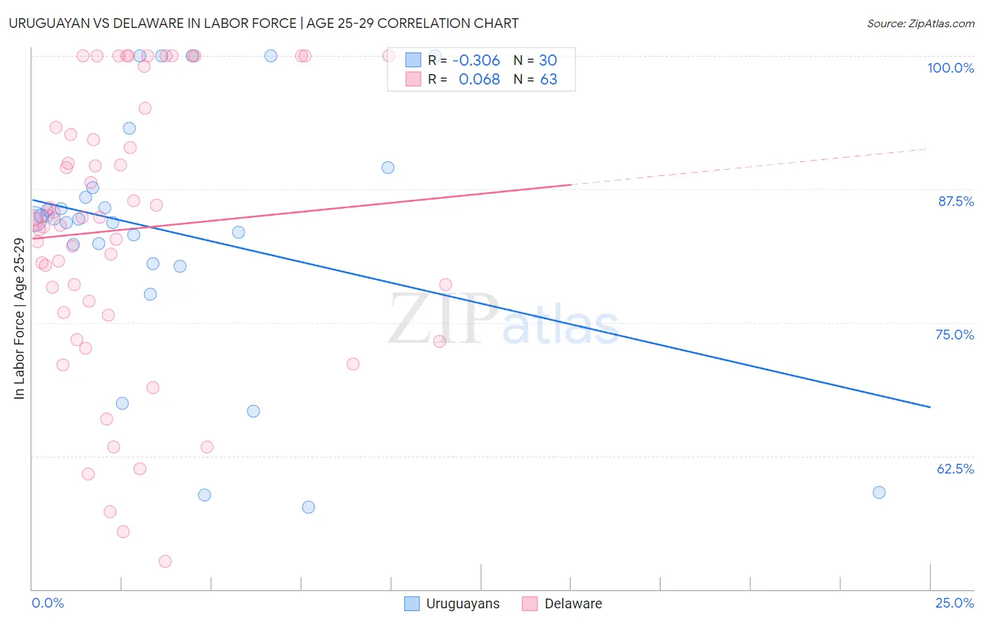 Uruguayan vs Delaware In Labor Force | Age 25-29