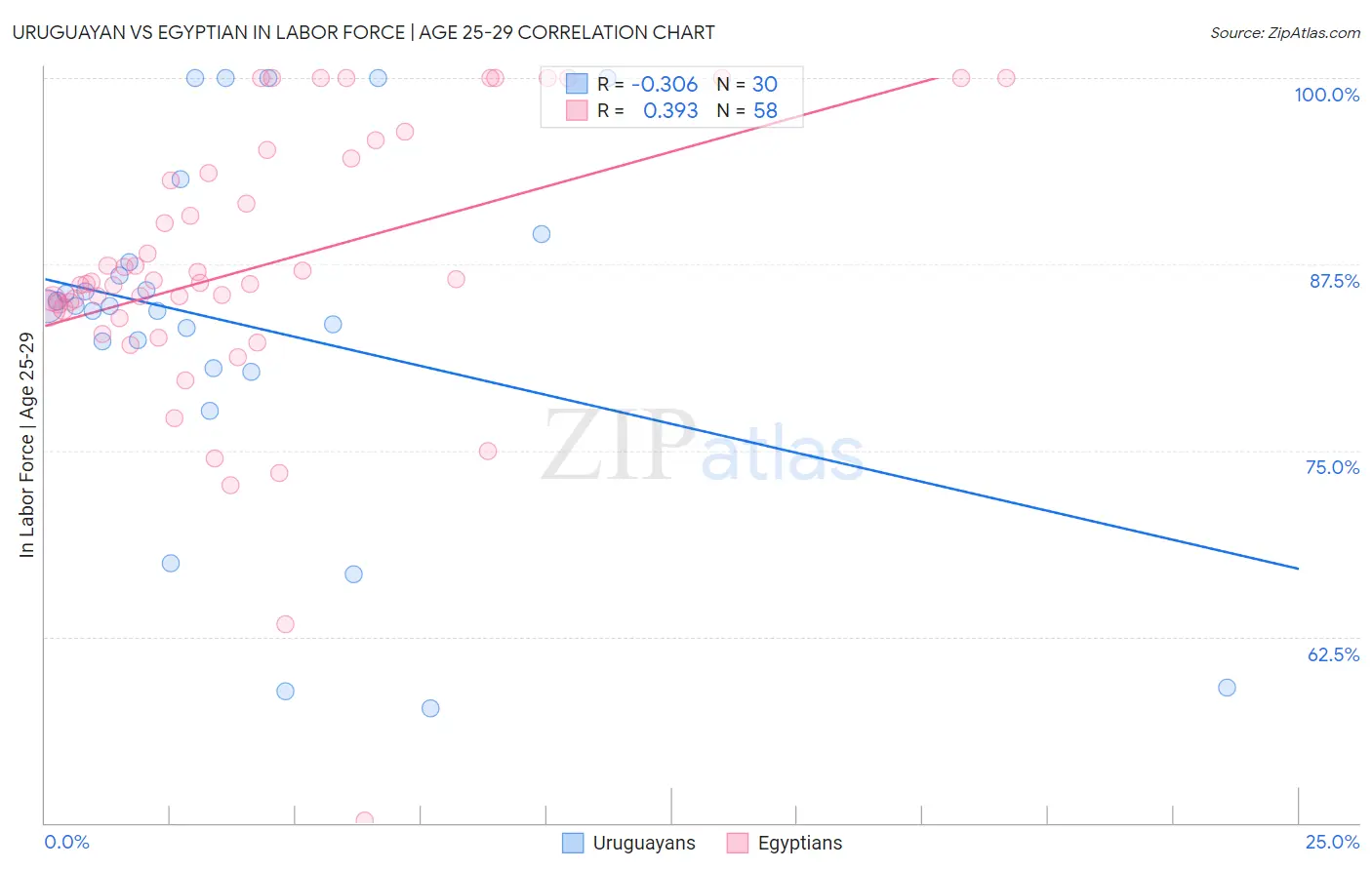 Uruguayan vs Egyptian In Labor Force | Age 25-29