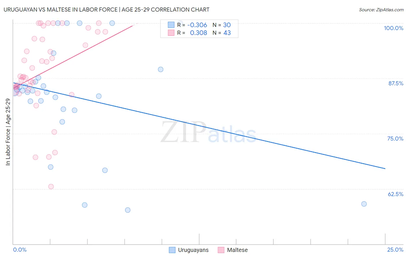 Uruguayan vs Maltese In Labor Force | Age 25-29