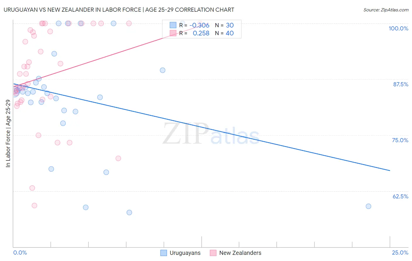 Uruguayan vs New Zealander In Labor Force | Age 25-29