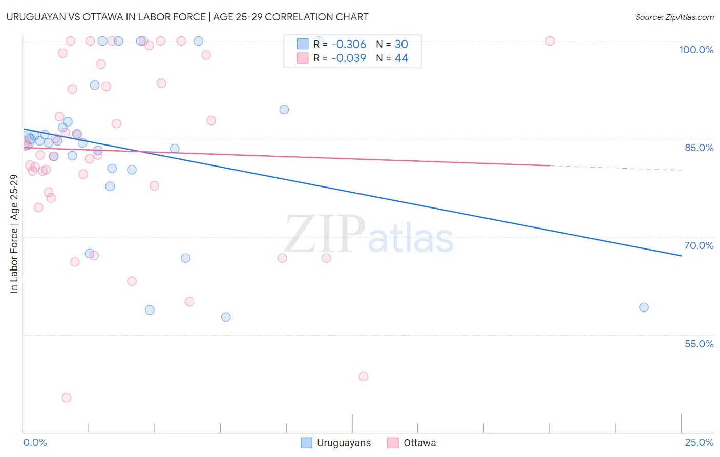 Uruguayan vs Ottawa In Labor Force | Age 25-29