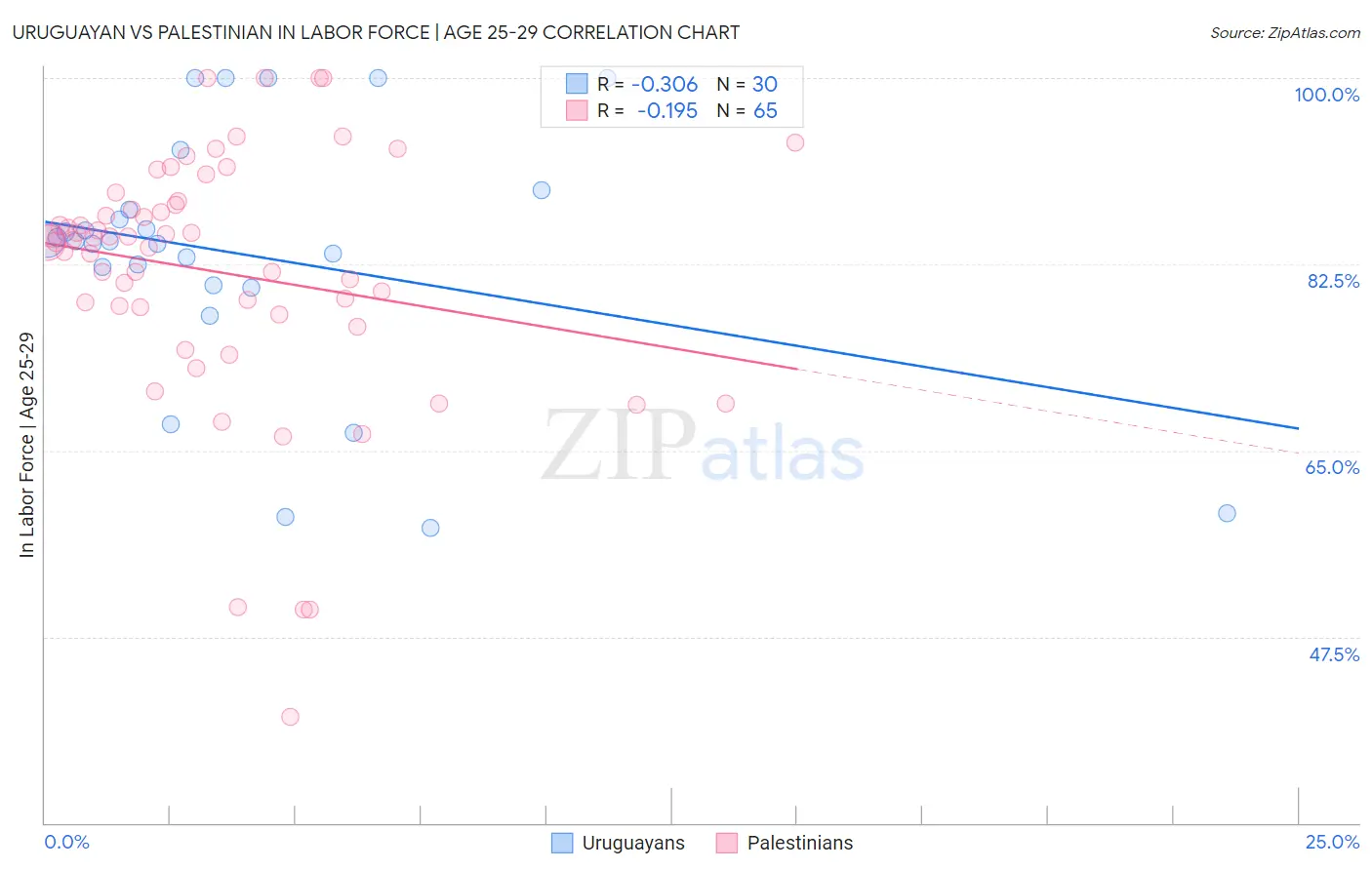 Uruguayan vs Palestinian In Labor Force | Age 25-29