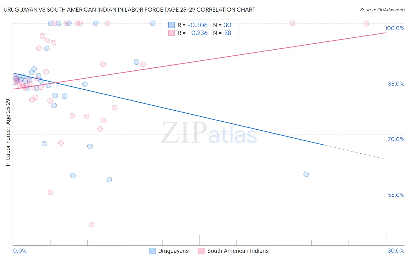 Uruguayan vs South American Indian In Labor Force | Age 25-29