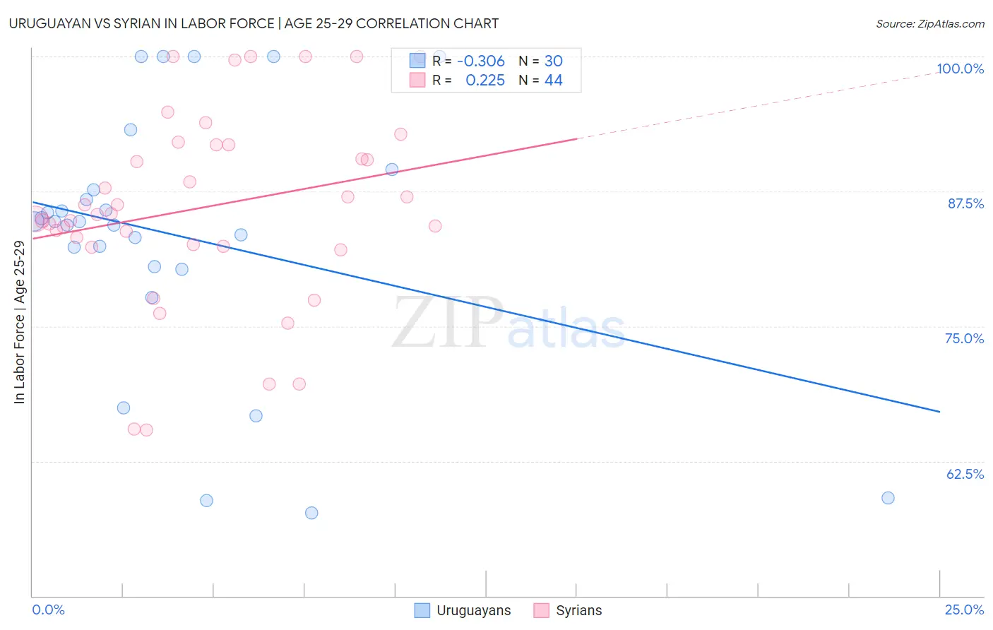 Uruguayan vs Syrian In Labor Force | Age 25-29