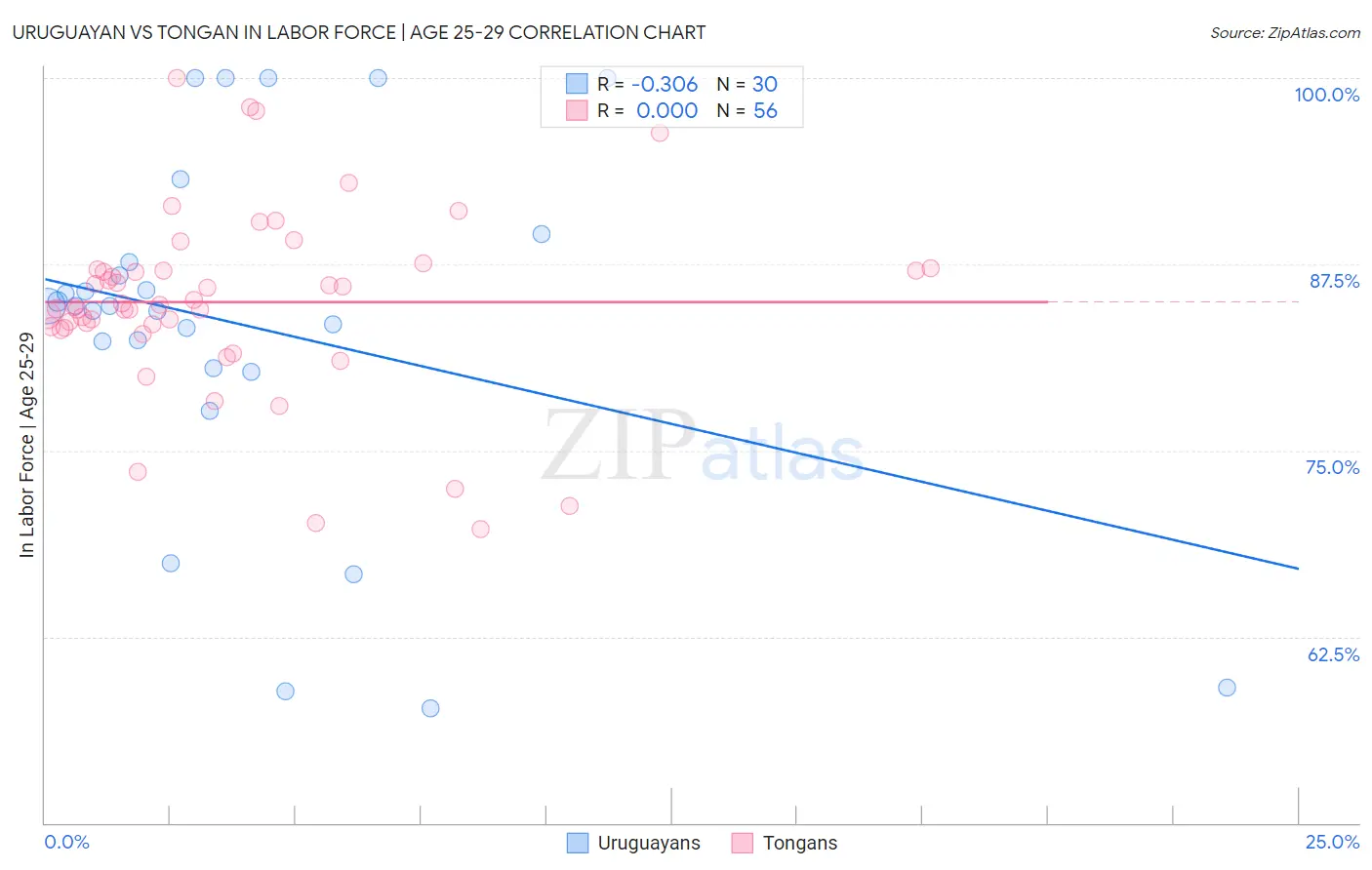 Uruguayan vs Tongan In Labor Force | Age 25-29