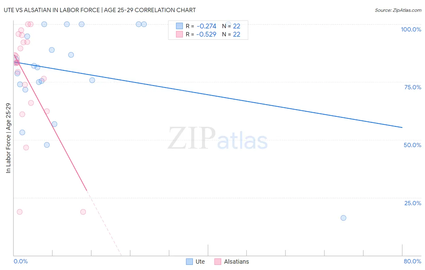 Ute vs Alsatian In Labor Force | Age 25-29