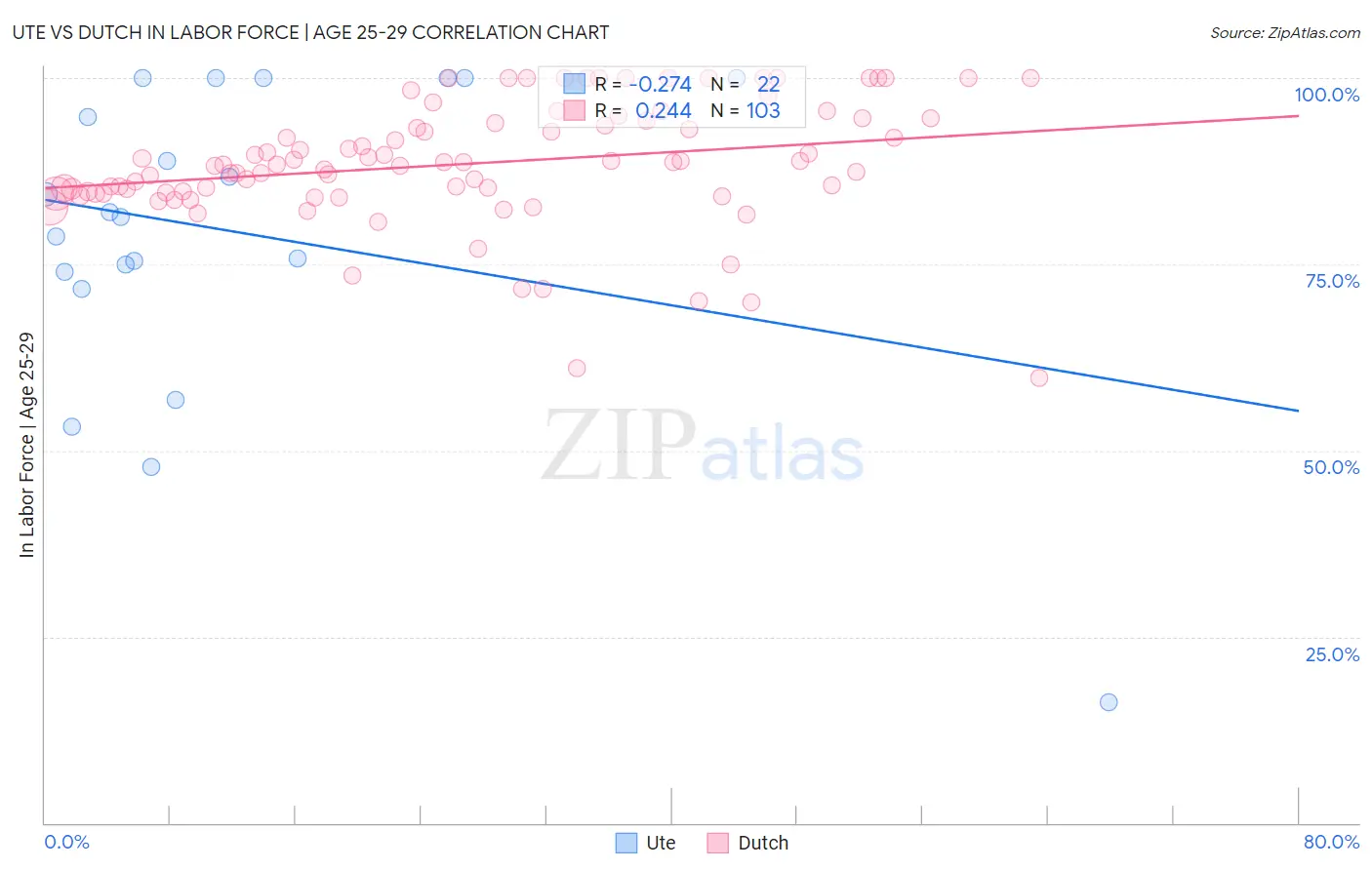Ute vs Dutch In Labor Force | Age 25-29