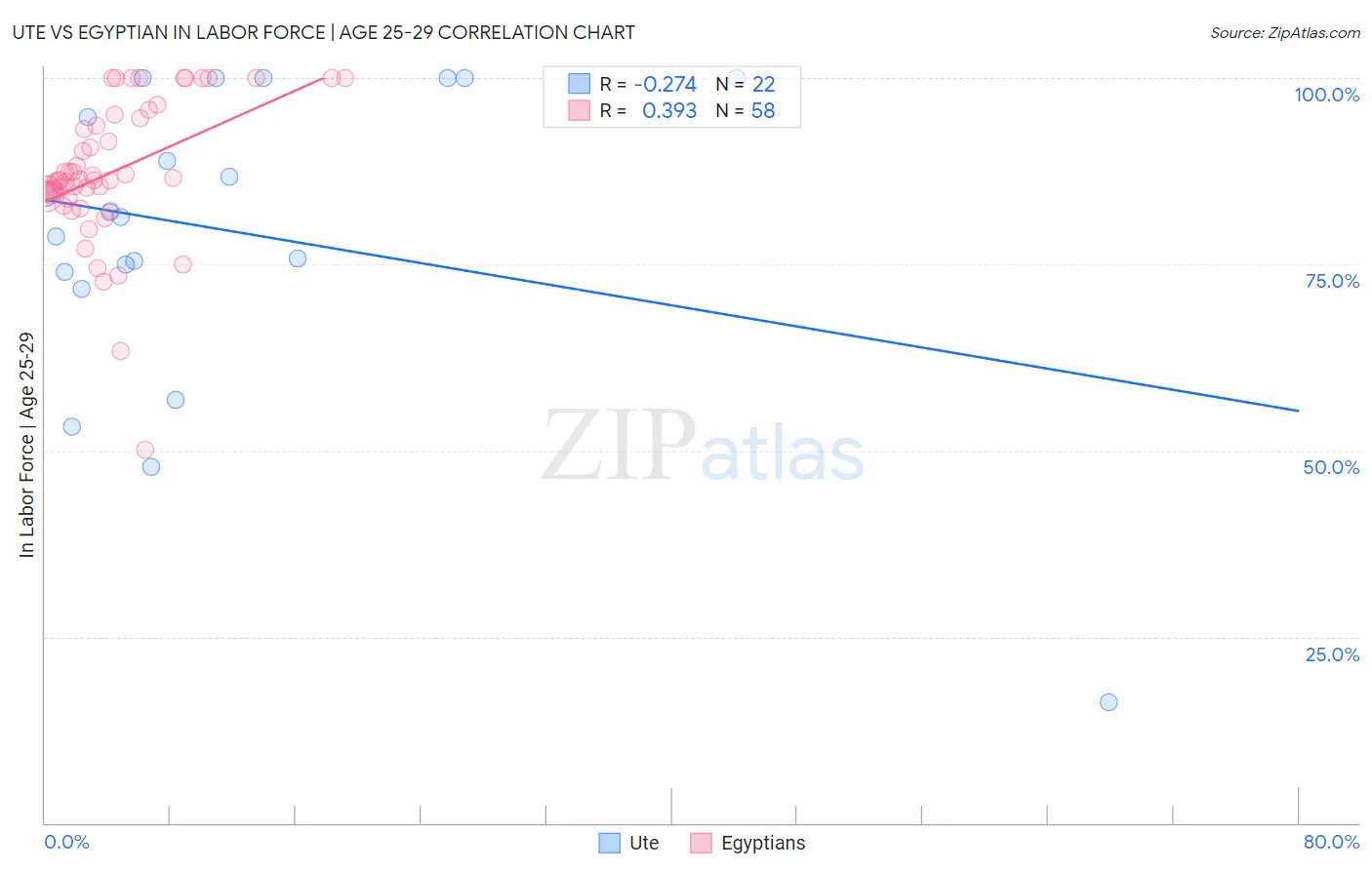 Ute vs Egyptian In Labor Force | Age 25-29