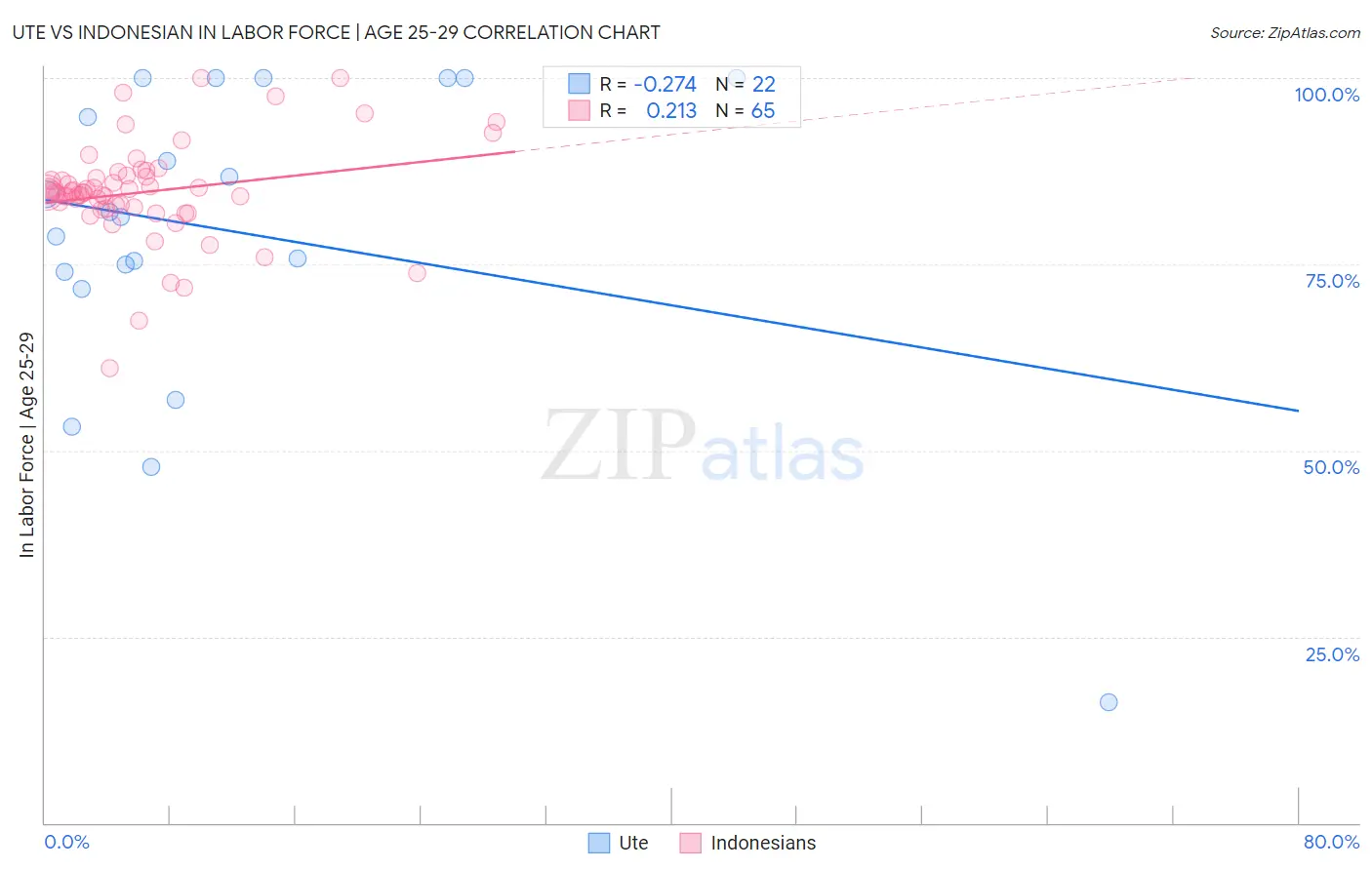 Ute vs Indonesian In Labor Force | Age 25-29
