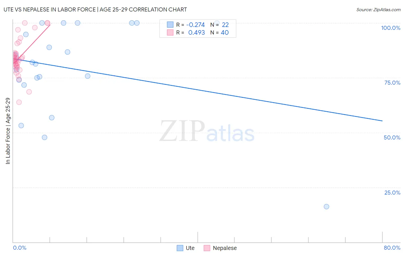 Ute vs Nepalese In Labor Force | Age 25-29