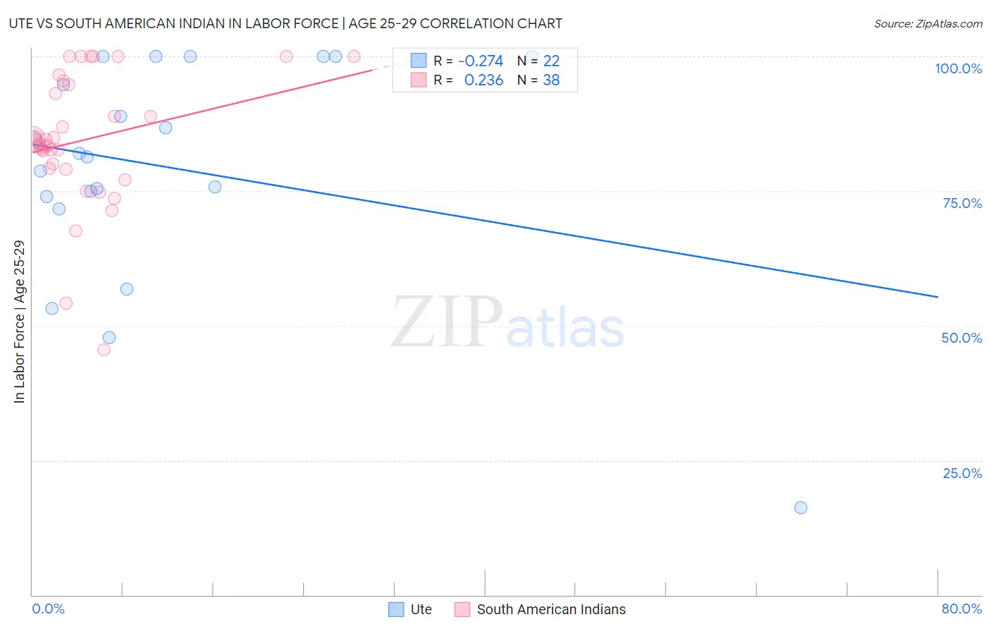 Ute vs South American Indian In Labor Force | Age 25-29