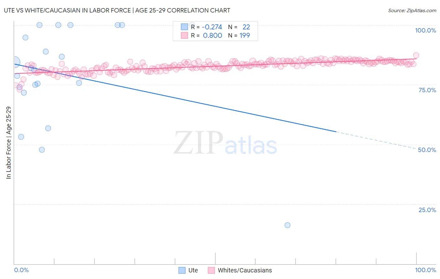 Ute vs White/Caucasian In Labor Force | Age 25-29