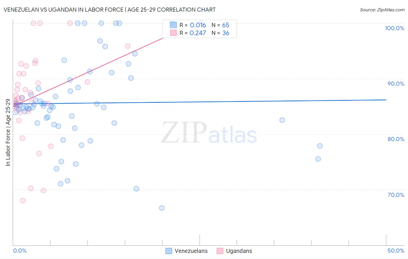 Venezuelan vs Ugandan In Labor Force | Age 25-29