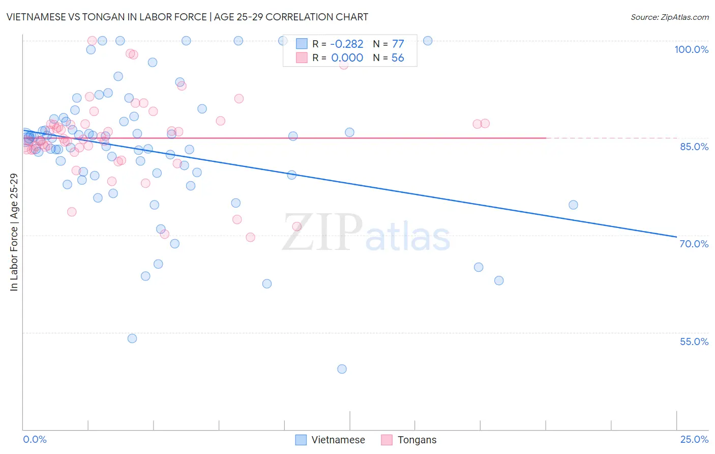Vietnamese vs Tongan In Labor Force | Age 25-29