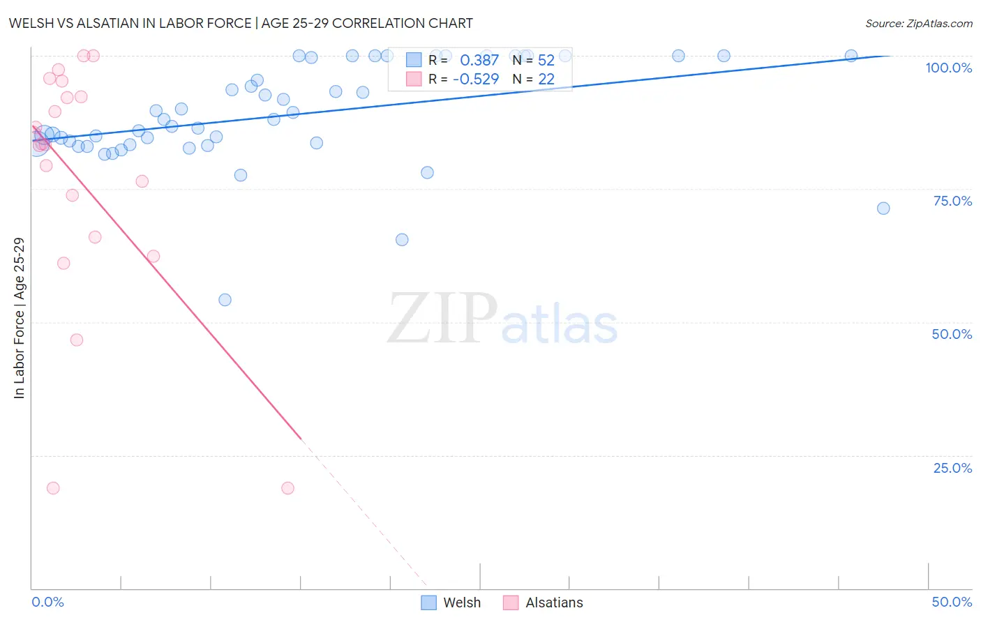 Welsh vs Alsatian In Labor Force | Age 25-29