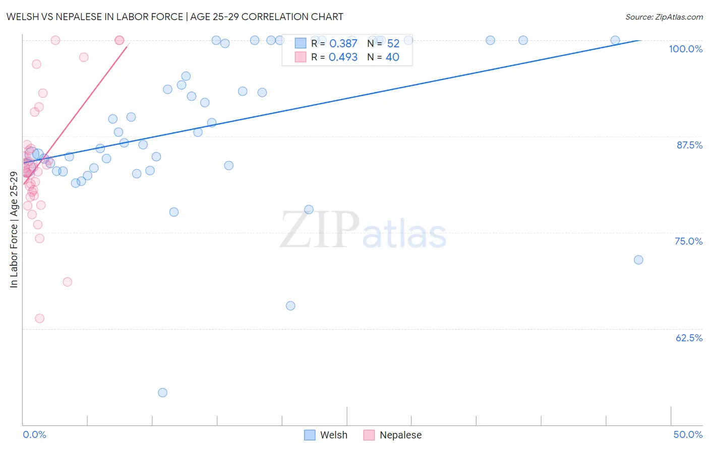 Welsh vs Nepalese In Labor Force | Age 25-29