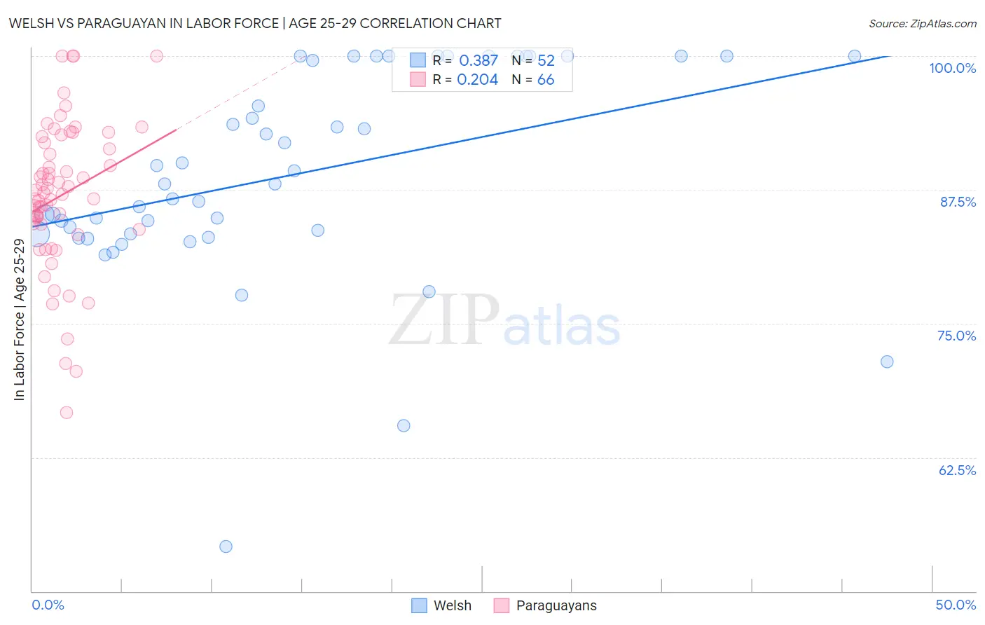 Welsh vs Paraguayan In Labor Force | Age 25-29