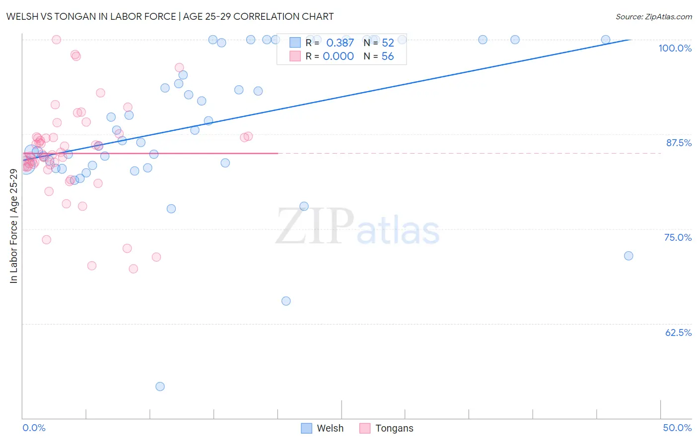 Welsh vs Tongan In Labor Force | Age 25-29