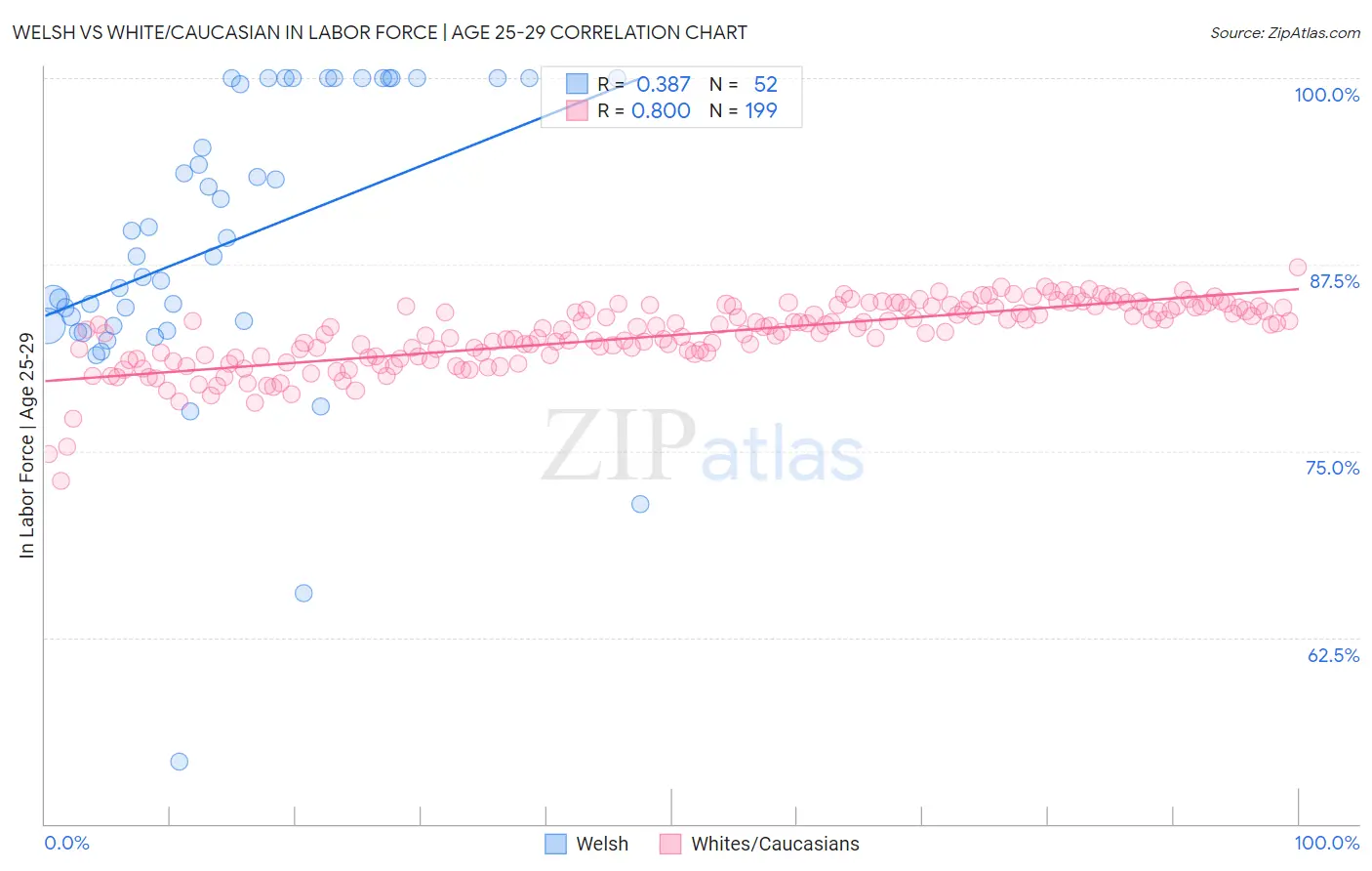 Welsh vs White/Caucasian In Labor Force | Age 25-29