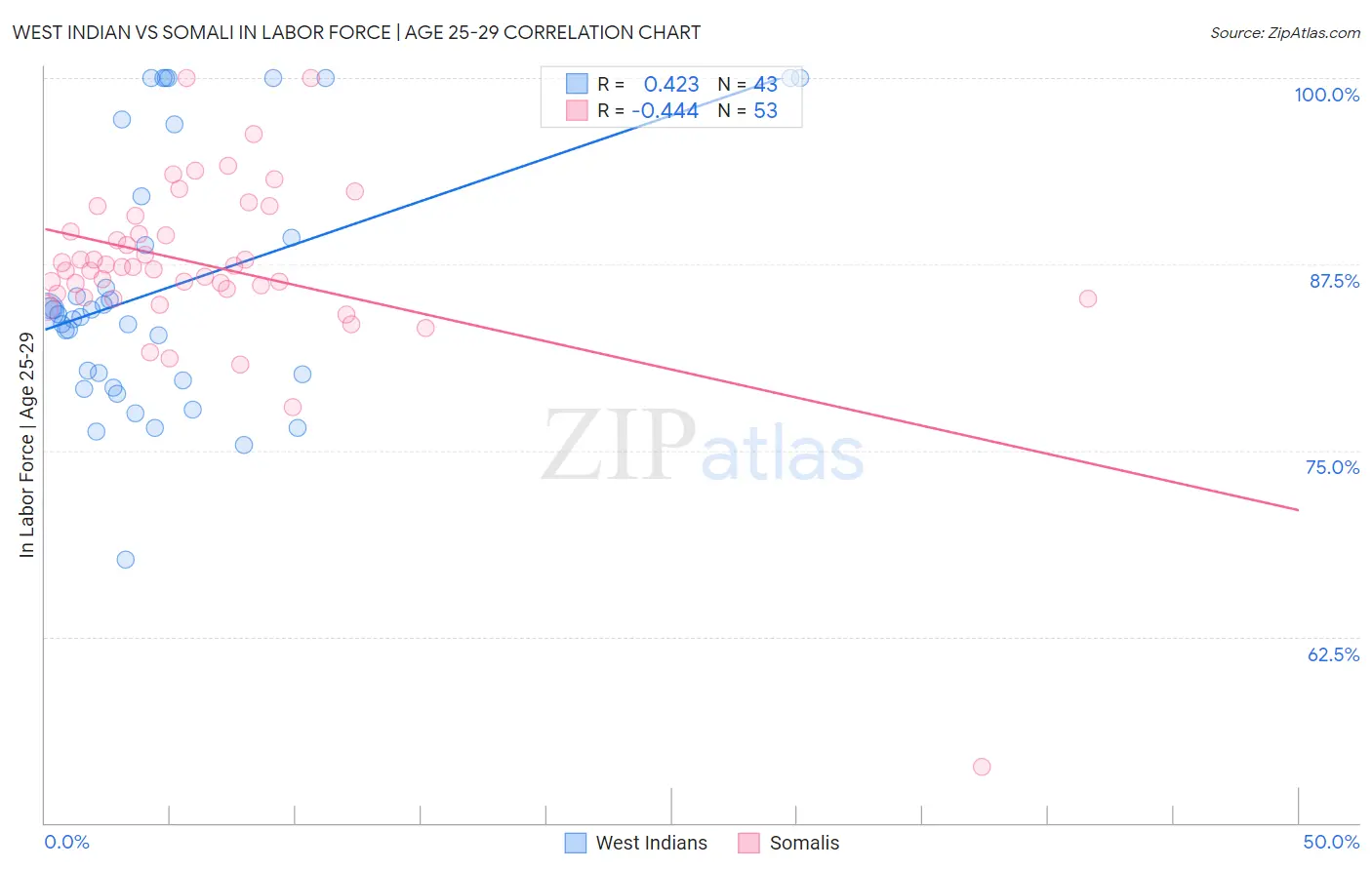 West Indian vs Somali In Labor Force | Age 25-29