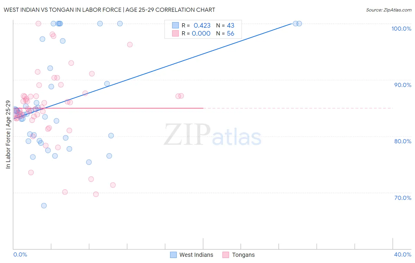 West Indian vs Tongan In Labor Force | Age 25-29