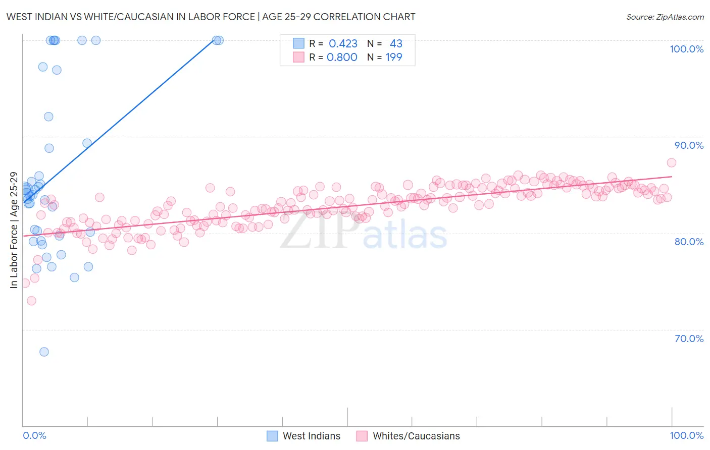 West Indian vs White/Caucasian In Labor Force | Age 25-29