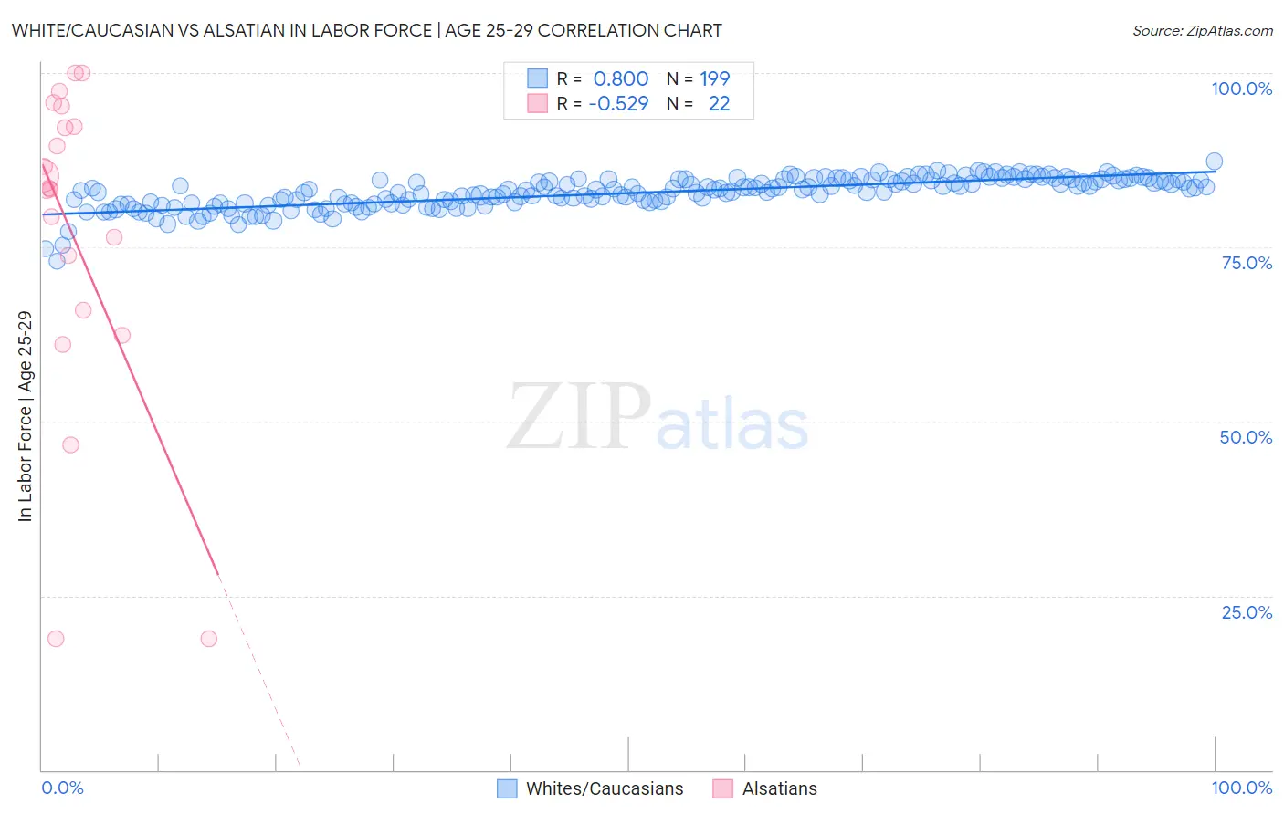 White/Caucasian vs Alsatian In Labor Force | Age 25-29