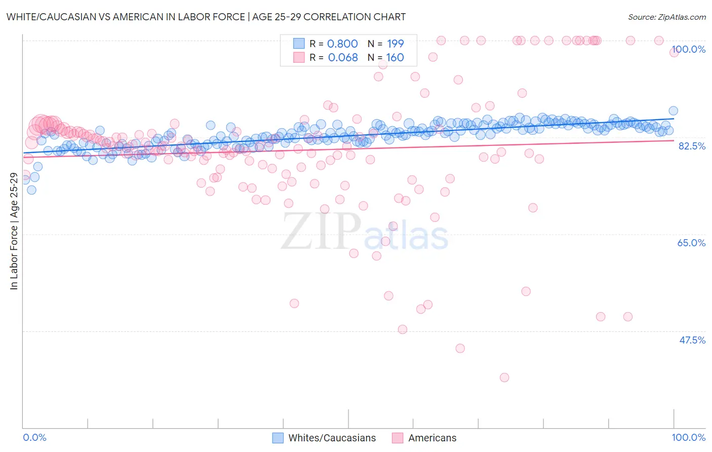 White/Caucasian vs American In Labor Force | Age 25-29