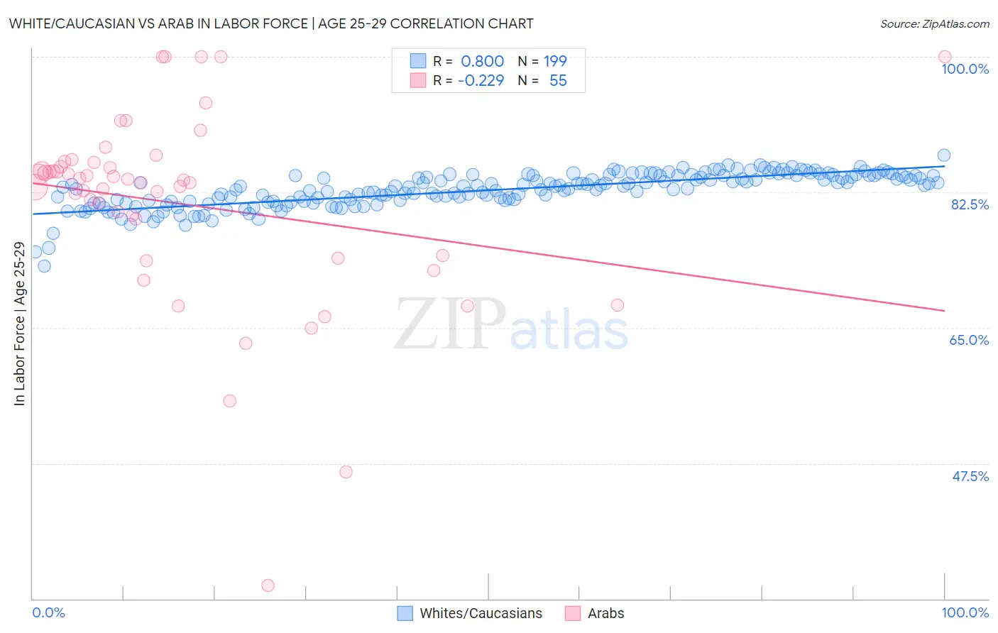 White/Caucasian vs Arab In Labor Force | Age 25-29