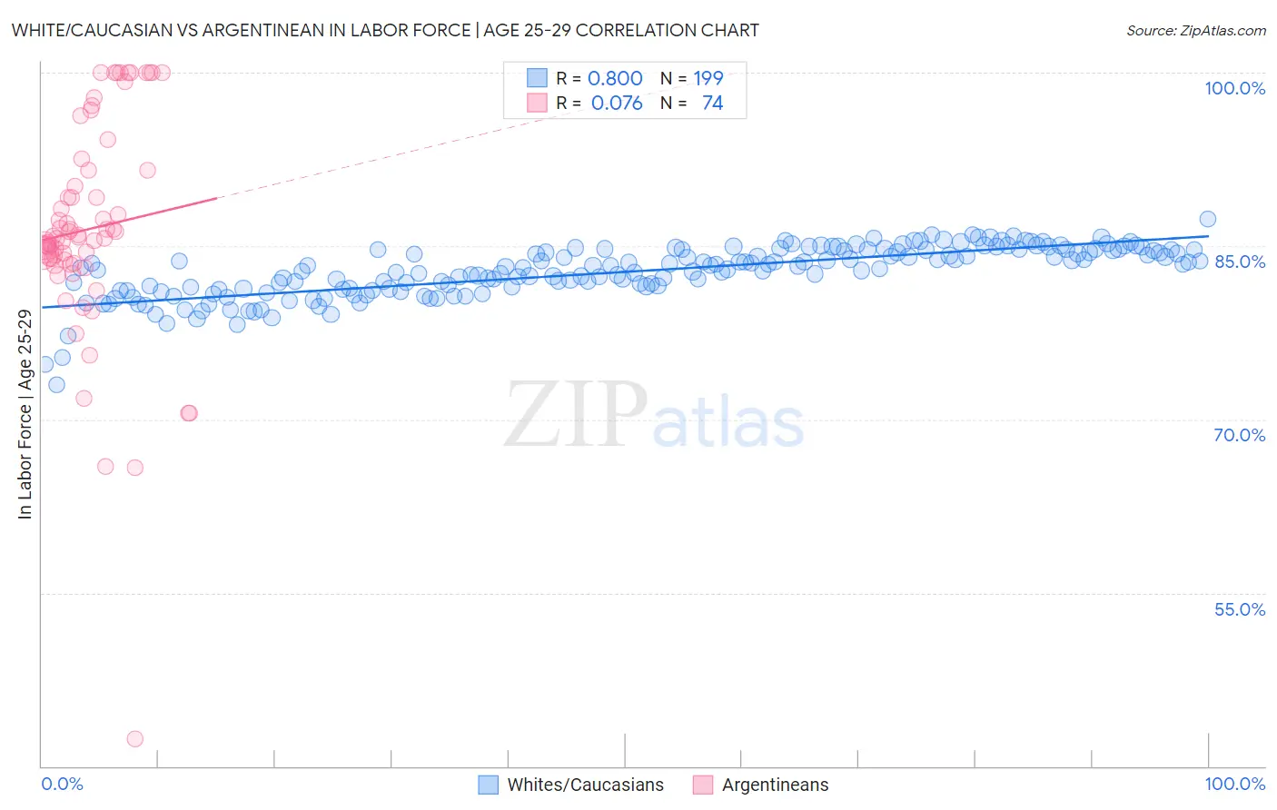 White/Caucasian vs Argentinean In Labor Force | Age 25-29